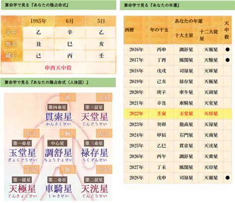 算命種類|朱学院 ｜ 無料で算命学入